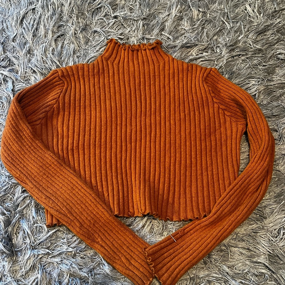 Cropped Turtleneck Sweater
